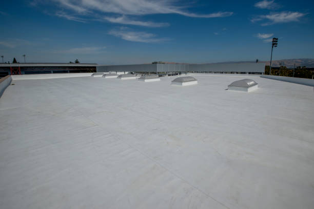 Best Metal Roofing Installation  in Varnville, SC