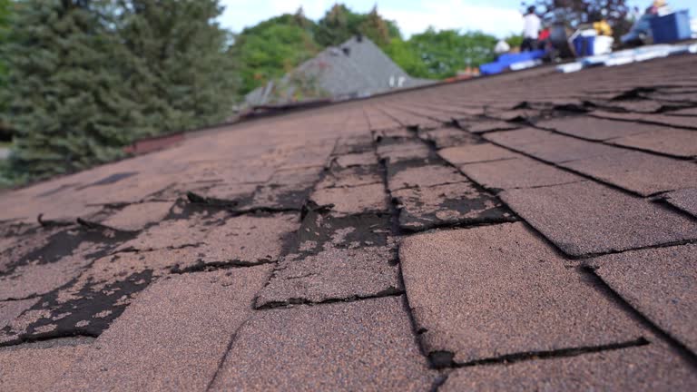 Best Gutter Installation and Repair  in Varnville, SC