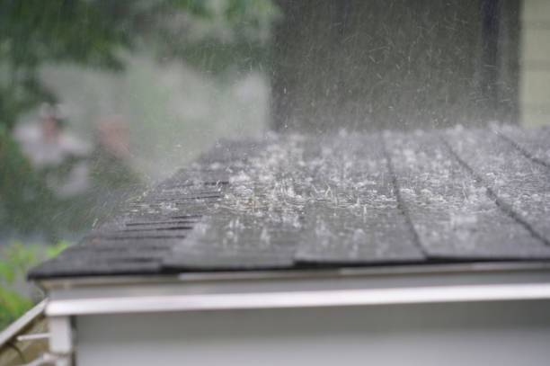 Best Roof Maintenance and Cleaning  in Varnville, SC