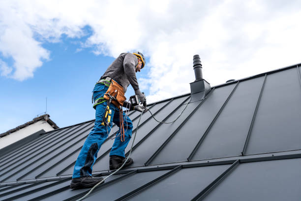 Best Chimney Flashing Repair  in Varnville, SC
