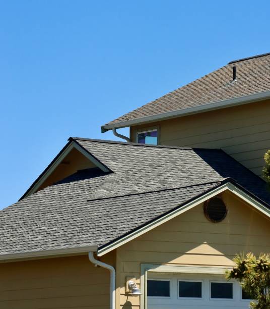 Best Solar Panel Roofing Installation  in Varnville, SC